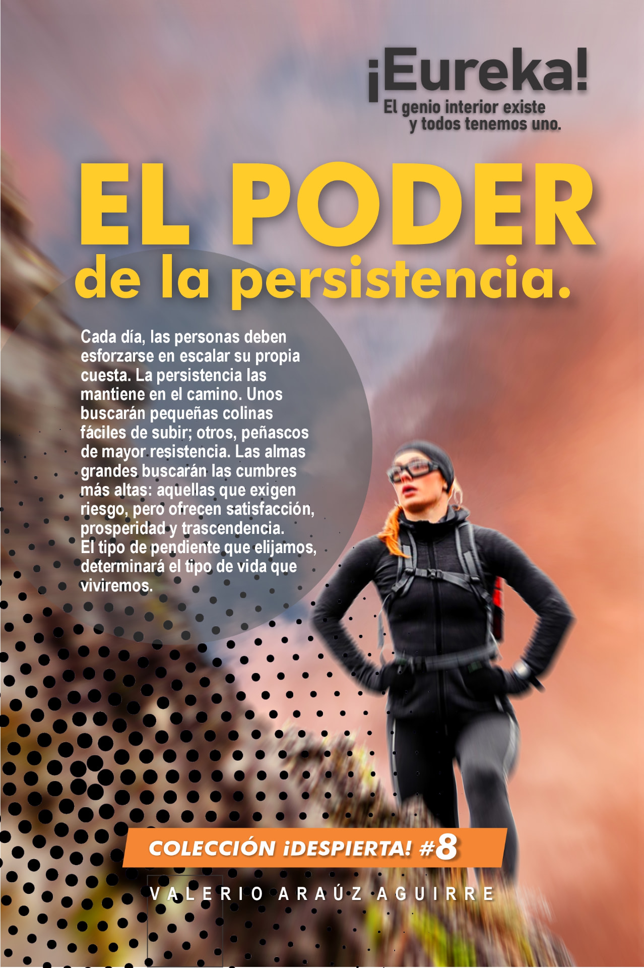 Portada de El poder de la persistencia