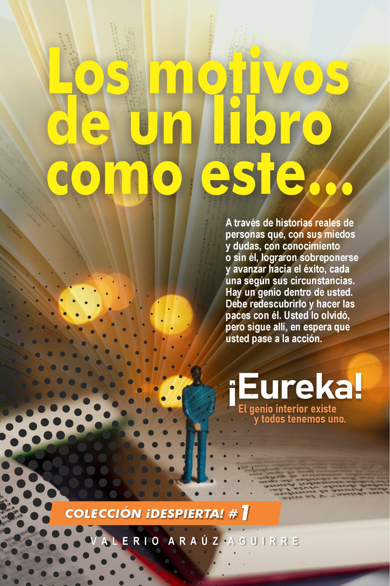 Portada de Los motivos de un libro como este
